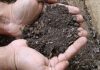 Fertiliser le sol avec des matériaux naturels
