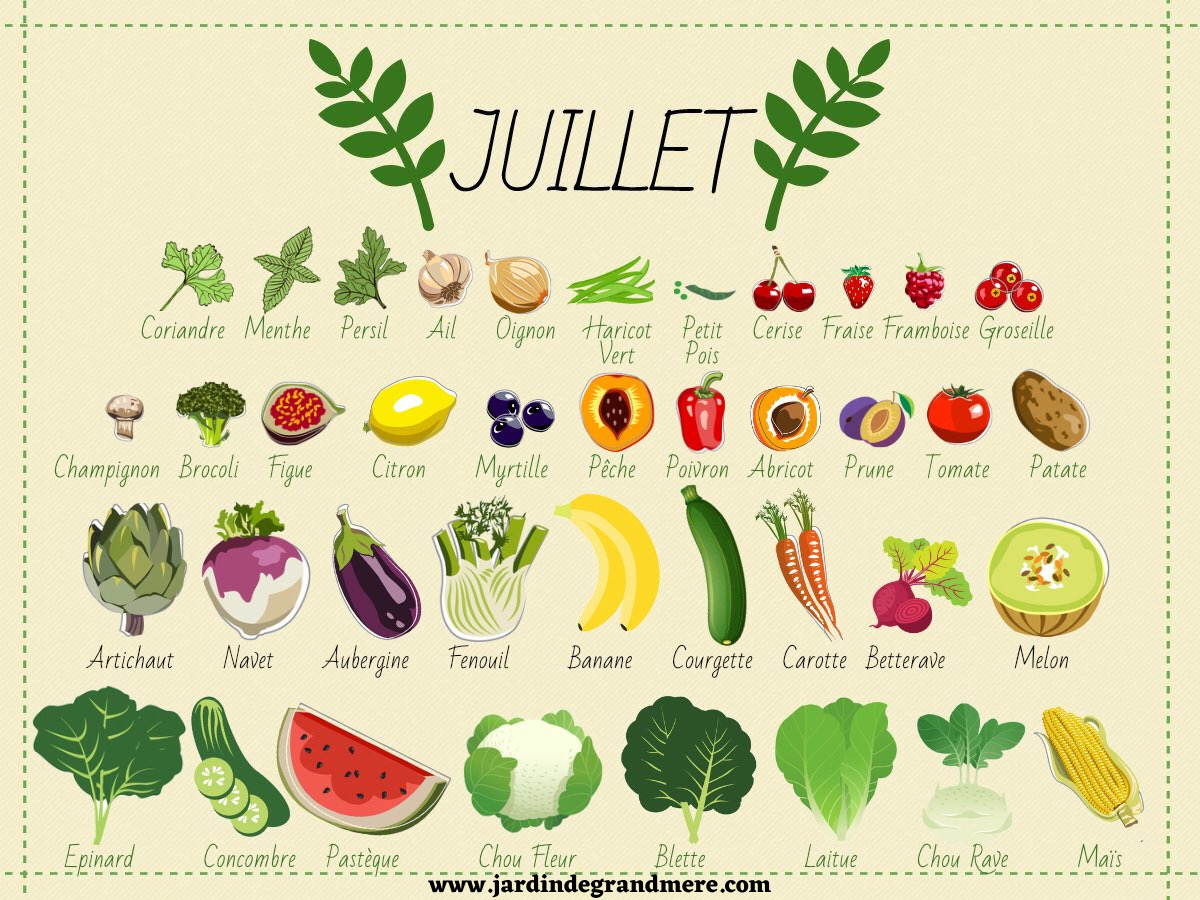 En juillet, venez vous initier aux fruits et légumes de la saison