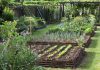 5 conseils directs pour augmenter de manière significative les performances de votre jardin
