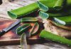 10 avantages étonnants de l’aloe vera prouvés par des études