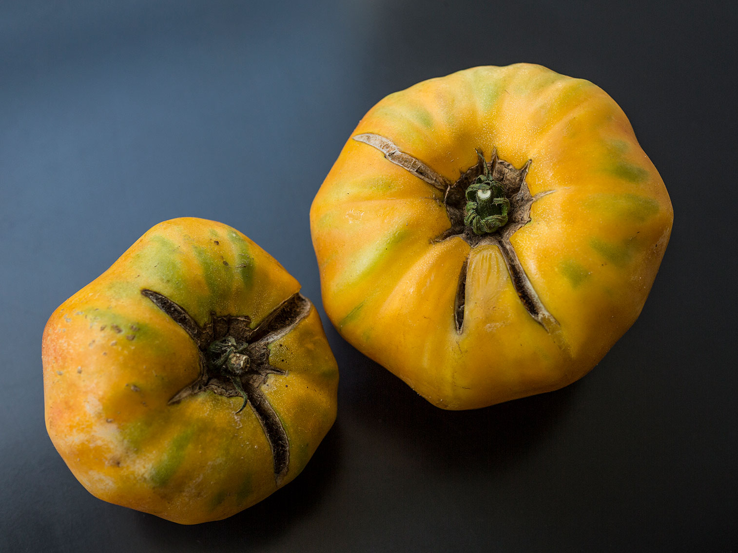 Comment faire pousser des tomates ananas - Jardin de Grand Meres