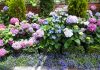 11 idées géniales d’aménagement paysager avec des hostas