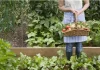 7 idées pour démarrer un potager à petit prix avec moins de 10 $.