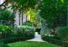 6 meilleures plantes pour sous les arbres