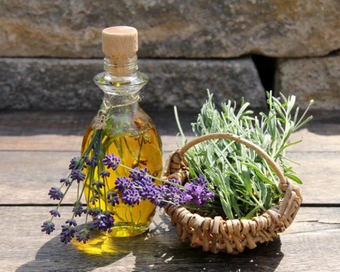 12 façons d'utiliser la lavande à la maison et au jardin - Jardin de