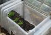 6 conseils pour un potager productif dans un espace restreint