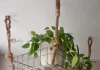 « Découvrez 18 Idées Originales de Paniers Suspendus et de Supports DIY pour vos Pothos